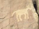 PICTURES/Crow Canyon Petroglyphs - Main Panel/t_Village Scene - Deer.jpg